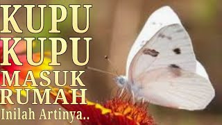 Download lagu THE MEANING OF BUTTERFLIES ENTERING THE HOUSE DAY AND NIGHT mp3 Download lagu THE MEANING OF BUTTERFLIES ENTERING THE HOUSE DAY AND NIGHT mp3