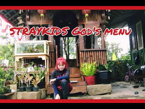 STRAYKIDS "God's Menu" (Dance Cover)
