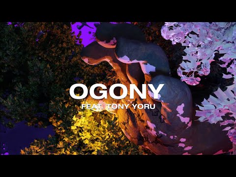 PRZYŁU FT. TONY YORU - OGONY