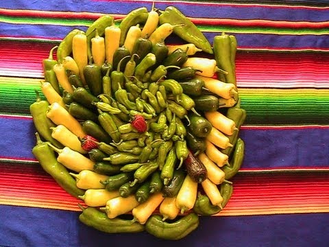 How to increase Pepper Plant Yields