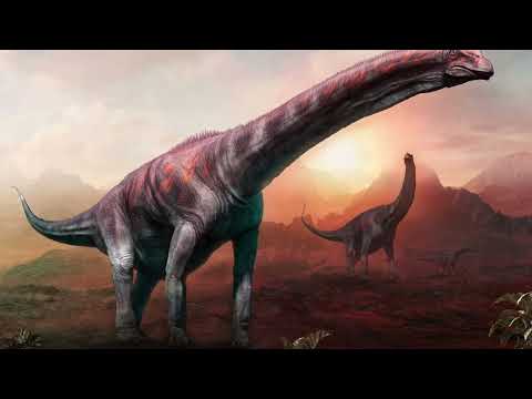 Top Five Longest Animals By Mally