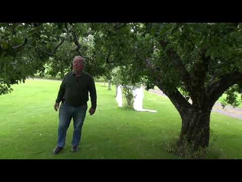 Äpple i trädgården med  Hans Olsson