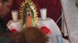video1