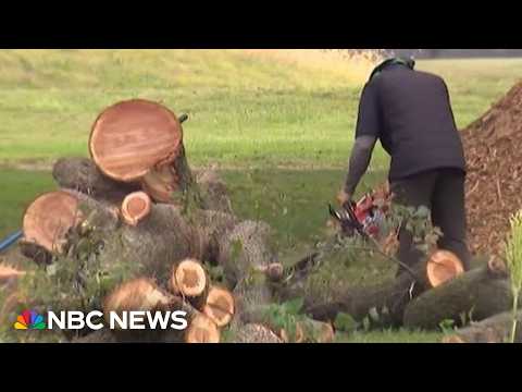DOJ tells judge that golf course won't close, despite Trumps's insistence after trees cut down