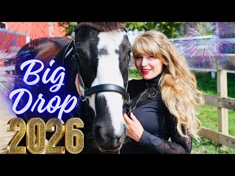 We Have Some HUGE Goals & Announcements! 