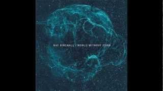 Principle of Beauty   NAT BIRCHALL