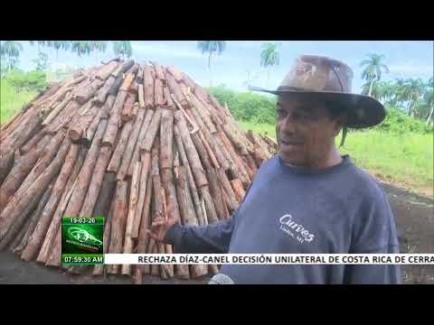 Empresa Agroforestal Guanahacabibes, un modelo de eficiencia en Pinar del Río