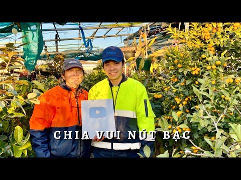 Chia Vui Nút Bạc Toan Trinh ft.