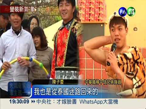 菜鳥"象"變裝秀 與球迷一起搞笑