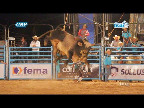 FICAR Rodeo of Assis 2017 - GOLD COWBOY / 2nd ROUND