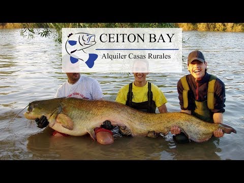 Ceiton Bay Chalets, fishing holidays at the Ebro, Spain