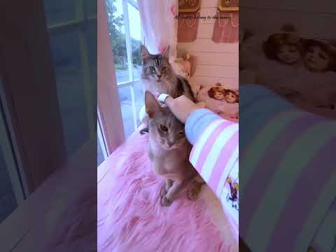 Hoo ethu tha ennoda veddu enni may ula enna irrukum pakalm ga