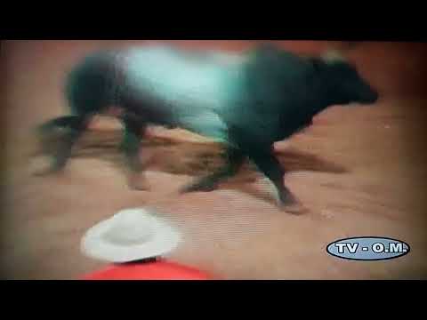 Final do rodeio em touros Novo Horizonte SP 2005