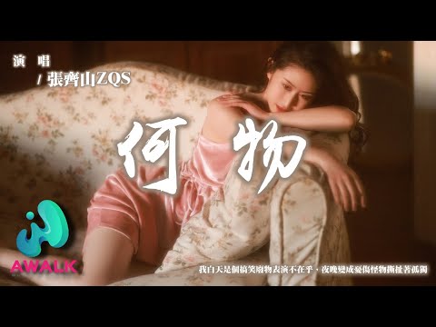 Zhang Qi Shan （ZQS） - He Wu （Cover：Lan Si Luo）【Pinyin Lyrics】