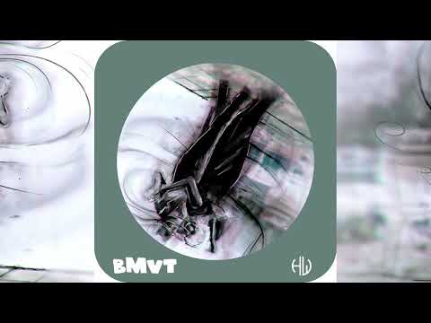 BMVT feat. Hans Wachsmann - Ja der Wind