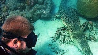 Diving with Crocodiles (Watch in HD)