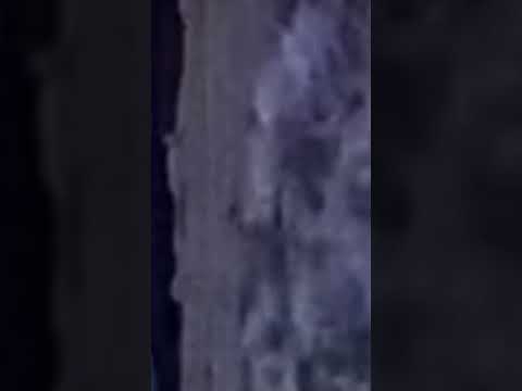 Дом с привидениями Автор: @КОТЫ ЮТУБЕРЫ жутко🥶🥶