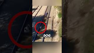 He did everything to save the dog from the train ❤️🐕