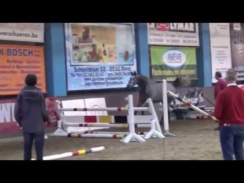 Lialena V. Cornet Obolensky x Calvaro