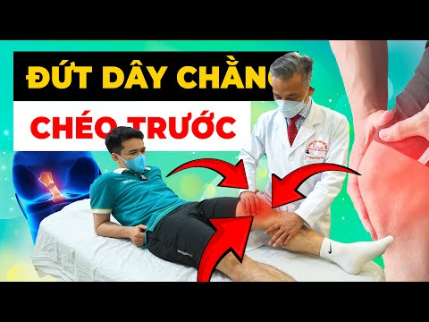 Cảm Giác Gục Ngã Vì Đứt ACL? Hãy Biết Điều Này Để Phục Hồi Tự Tin