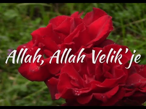 Hor Šapat srca - Ruža bez bodlja - Official 2014