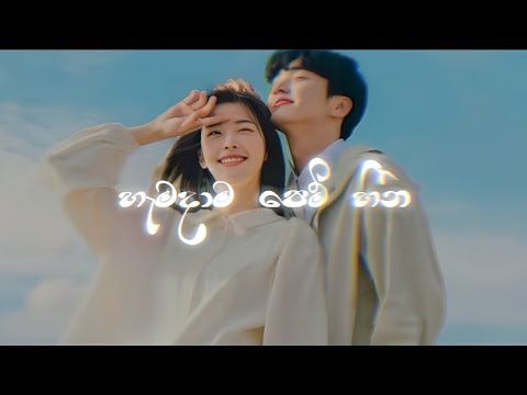 Ahi Pillamak Athara (ඇහි පිල්ලමක් අතර) hamadama pem heena_-_හැමදම පෙම් හීන | slowed and reverb 2024