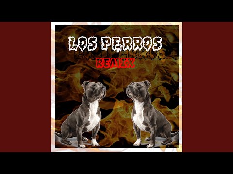 Los Perros Remix - Rochy RD