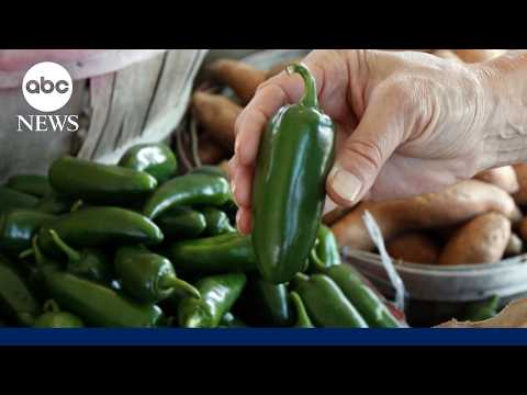 Thousands ill in twin food-borne illness outbreaks