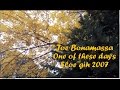 Joe Bonamassa - One of these days