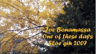 Joe Bonamassa - One of these days