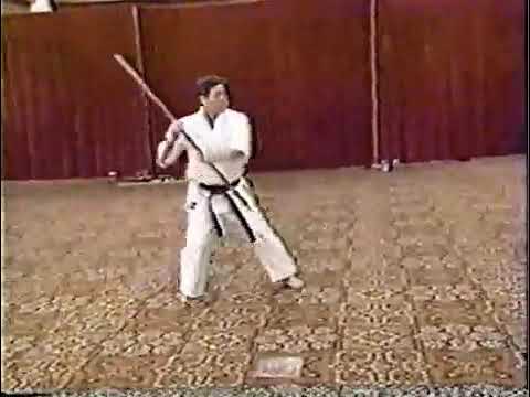 Yamani Ryu Sakugawa no Kon