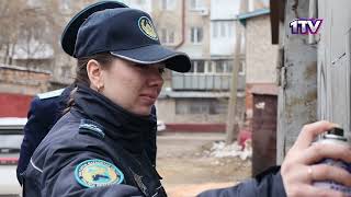 Видео