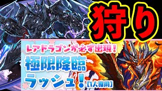 エリスドラゴン確定とのことで　極限降臨ラッシュ　百花繚乱3　パズドラ