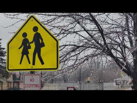 02-22-2023 Jackson, Michigan - Ice Storm - Power Outages - Trees Down - Slick Roads - Icy Trees