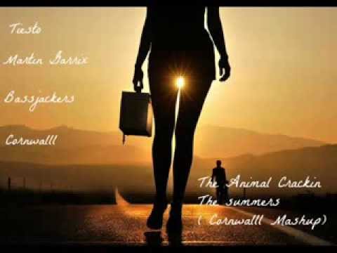 Tiesto Vs Martin Garrix vs Bassjackers - The Animal Crackin The Summers ( Cornwalll Mashup)