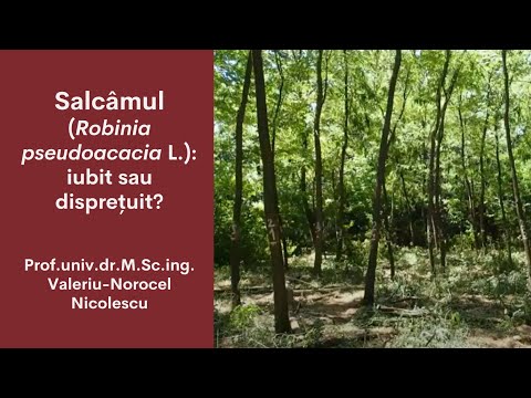, title : 'Salcâmul (Robinia pseudoacacia L.): iubit sau disprețuit?'