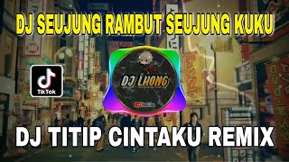 Download lagu DJ SEUJUNG RAMBUT SEUJUNG KUKU REMIX VIRAL TIKTOK TITIP CINTAKU TERBARU 2022 mp3