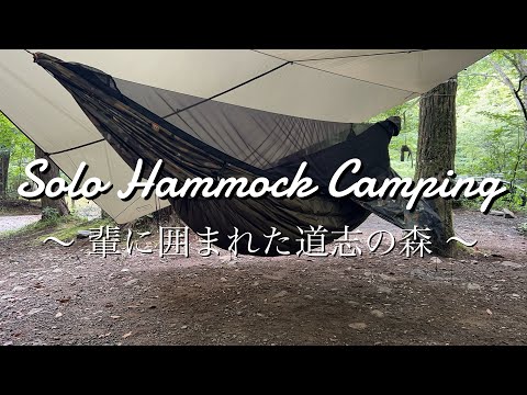 ジャングルキャンプ: 番組のおかげでスターたちはたくさんの新しいフォロワーを獲得しました