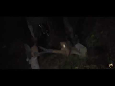 Ctbgm 100$ - Defamation of Character (Official Video) Dir. x LilWallSin