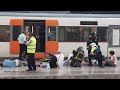At least 48 people injured in crash at Barcelona's França train station, no deaths reported