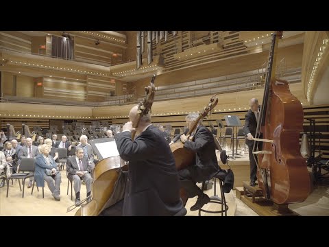 World Premier - Permanent presence of an octobass at the OSM