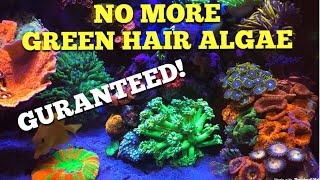 Getting Rid Of Green Hair Algae