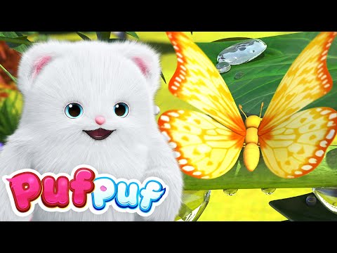Zbori, zbori, fluturaș! 🦋 Învățăm cum apare un fluture! Cântece pentru Copii de la PufPuf