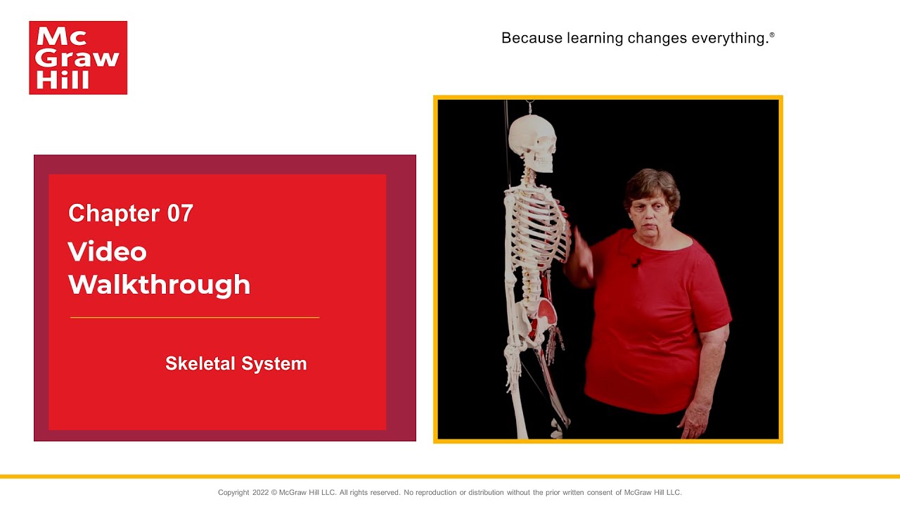 Ch7.1 Skeletal System: Overview