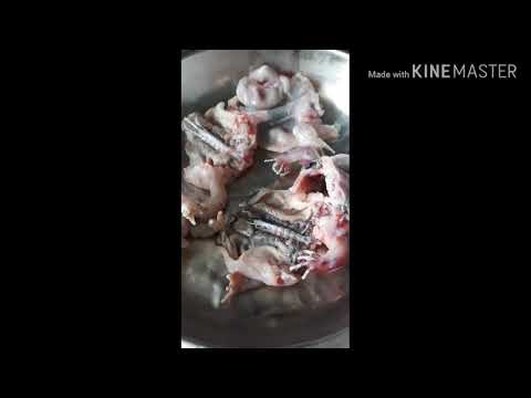 # HOW TO COOK  FROG + WINTER MELON SOUP #