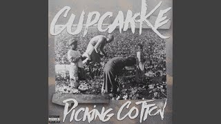 Picking Cotton