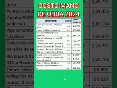 Labor Cost 2024 #construction #civilengineering #architecture #house #viralshorts #shorts