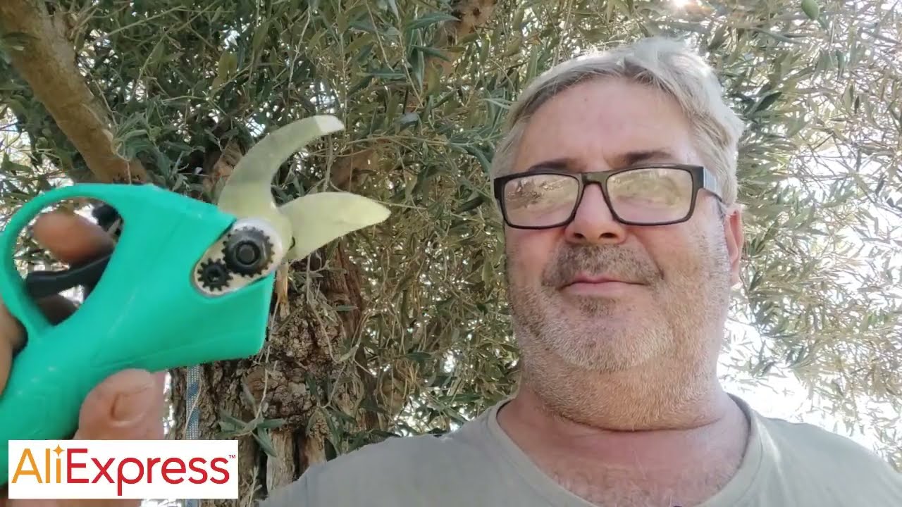 Tijera de podar a bateria aliexpress 21v 30mm