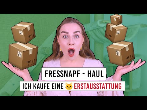 I'm buying a starter kit for baby kittens / Fressnapf haul / Amely Rose & Catwalk