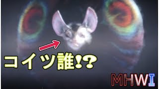 【MHWI実況】ねむりの飛竜とよっつの目玉 ~パオウルムー亜種編~【モンハンワールド アイスボーン】